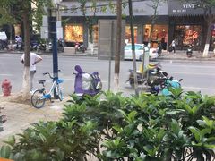 -福照楼汽锅鸡·云南菜(护国路店)