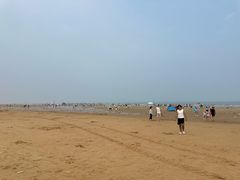 -日照海滨国家森林公园