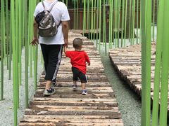 -黄海国家森林公园