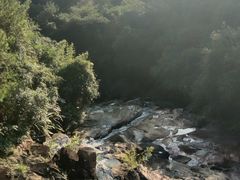 -广州白江湖森林公园