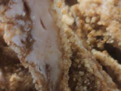 捷客士鸡排-捷客士炸鸡汉堡(信恒店)