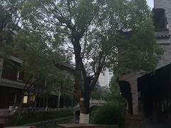 -龙潭水乡
