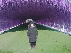 -绿野森林乐园冰雪季