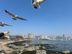-黑石礁公园