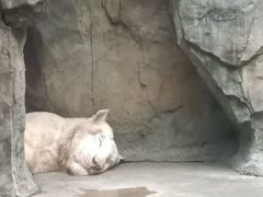 -南昌动物园