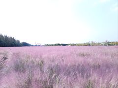 -嘉北郊野公园
