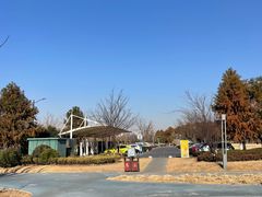 -春花秋色城市公园