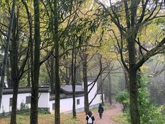 -西湖风景区十里琅珰-五云山