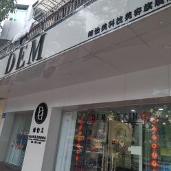 -DEM缔怡美科技美容
