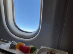 -海南海航航空信息系统公司