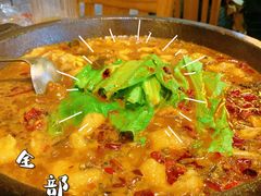 -都江堰石锅鱼