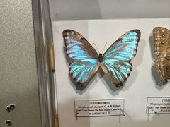 -吉林省自然博物馆
