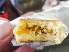 凤梨酥-黄远堂凤梨酥·伴手礼(中山路六店)