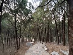 -佛慧山