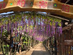-呀路古热带植物园