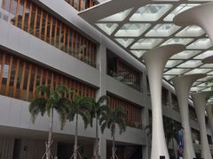 -三亚湾红树林度假世界(木棉酒店)