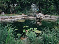-国家植物园南园