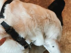 -Burger Bar 山沐西餐吧(钟村店)