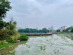 -西湖公园(鼓楼区)