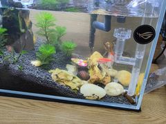 -千米手机电脑维修回收(永清街店)