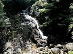 -四明山国家森林公园