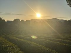 -敬亭山风景名胜区