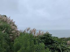 -东极岛景区