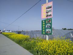 -小鱼草莓采摘园农家乐·小鱼餐厅