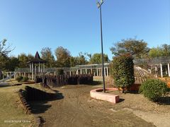 -西山漾湿地公园