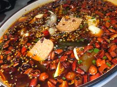 毛血旺-雲蜀龙阁·金牌水煮鱼(方庄店)