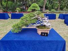 -汇龙潭