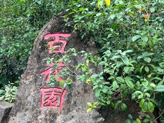 -广州莲花山旅游区