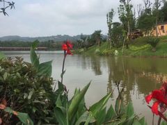 -枫香湖儿童公园