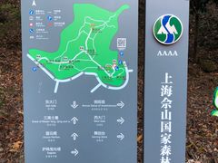 -上海佘山国家森林公园天马山园