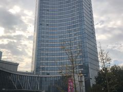 -天鹅湖大酒店