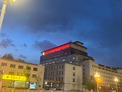 -中国宋庆龄青少年科技文化交流中心