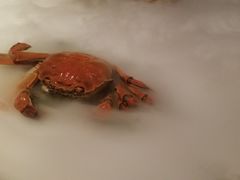 -苏浙总会(国金中心店)