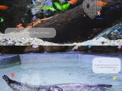 -南昌海洋公园