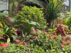 -野象谷景区