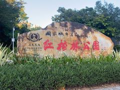 -大亚湾红树林城市湿地公园