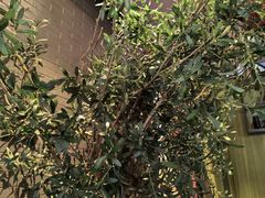 -八府香鸭·啫啫煲(华山路店)