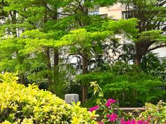 -晓港公园
