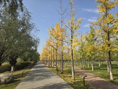 -汉长安城未央宫国家考古遗址公园