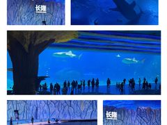 -珠海长隆海洋王国