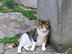 -静安公园(静安寺街道)
