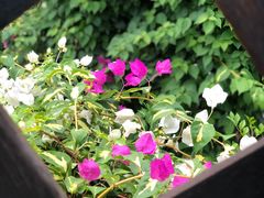 -胡里山炮台