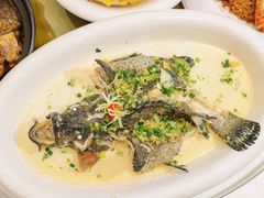 -有腥气私房菜·寻味顺德