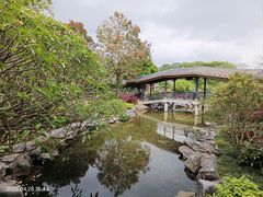 -顺峰山公园