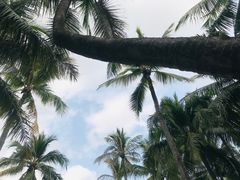 -三亚蜈支洲岛旅游区