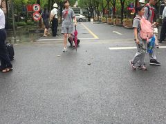 -上海市实验学校
